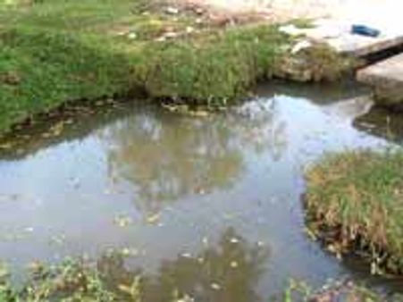 ಐದು ಜಿಲ್ಲೆಗಳಲ್ಲಿ ಡೆಂಗ್ಯೂ ಪರೀಕ್ಷಾ ಕೇಂದ್ರ