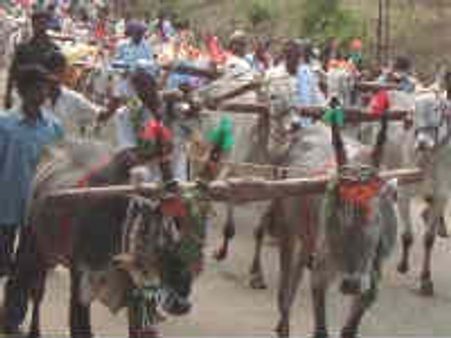 ಕೊಡಗಿನ ಹೊನ್ನಾರು ಉತ್ಸವ ನೋಡಲು ಆನಂದ