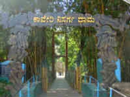 ಬೇಸಿಗೆ ರಜೆ ಕಳೆಯಲು ಕೊಡಗಿನ ನಿಸರ್ಗಧಾಮ