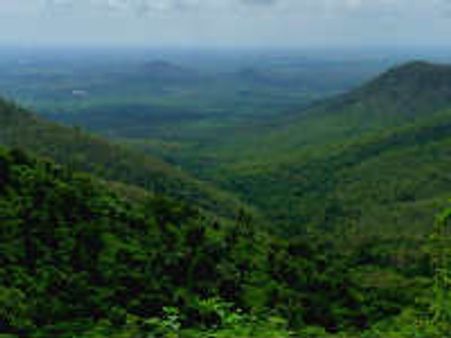 ಬನ್ನಿ ಬಿಳಿಗಿರಿರಂಗನ ಬೆಟ್ಟಕ್ಕೆ...ನಿಸರ್ಗದ ಸ್ವರ್ಗಕ್ಕೆ