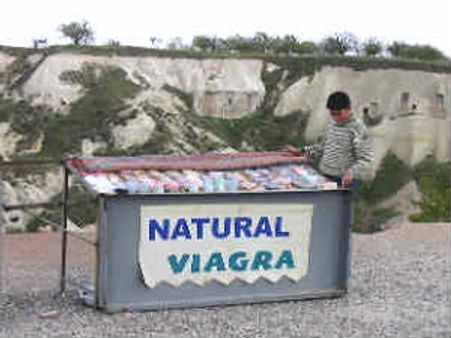 ಅವರು ವಯಾಗ್ರ ಬಳಸುತ್ತಿದ್ದರು ಎಂದಳು ಲಾಡೆನ್ ಪತ್ನಿ