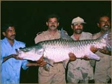 ಗಾಳಿಬೋರಿಗೆ ಹೋಗಿ ಮೀನು ಹಿಡಿದು ಜಾಲಿ ಮಾಡಿರಿ