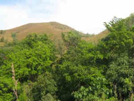 ಯುನೆಸ್ಕೋ ಹಣೆಪಟ್ಟಿ ಬೇಡ; ಅರಣ್ಯ ಮಾರಾಟಕ್ಕಿದೆ