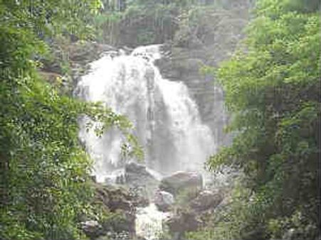 ಯಲ್ಲಾಪುರದಿ ‘ಶಿರ್ಲೆ’ಗಳು ಸಂಗೀತವಾ ಹಾಡಿವೆ! 