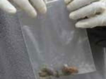 ಬಾಂಬ್ ತಯಾರಿಕೆ ವೃತ್ತಿ ಹಾಗೂ ಜೀವನಾಧಾರವಾದರೆ!!