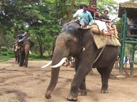 ದುಬಾರೆ ಆನೆ ಶಿಬಿರದಲ್ಲಿ ಸಮಸ್ಯೆಗಳದ್ದೇ ದರ್ಬಾರ್