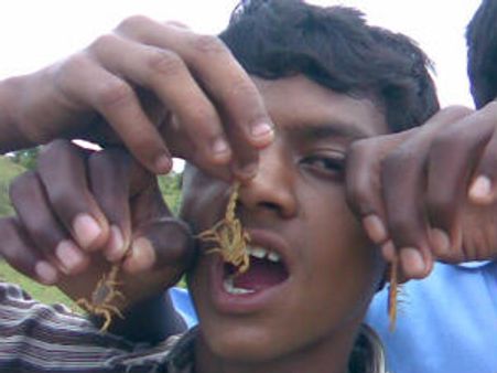 ಹಾವಿನ ಹಬ್ಬದಂದು ಚೇಳಿನ ಜೊತೆ ಸರಸ