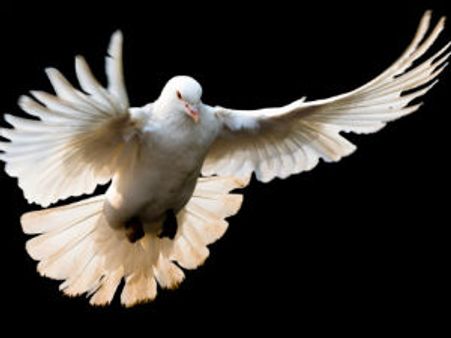 ನಿಮ್ಮ ಶುಭಾಶಯಗಳನ್ನು ಅರಸುವ ದಟ್ಸ್ ಕನ್ನಡ.ಕಾಂ