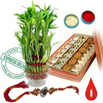 ಅಣ್ಣನ ಉಜ್ವಲ ಭವಿಷ್ಯಕ್ಕೆ ನೀಡಿ ಫೆಂಗ್ ಶ್ಯೂ ರಾಖಿ