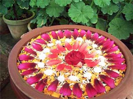 ಮನೆಯಂಗಳದಲ್ಲಿ ಹಬ್ಬದ ರಂಗವಲ್ಲಿ ಅರಳಲಿ