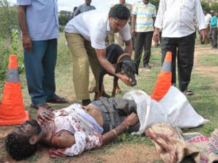 ಶ್ರೀರಾಮುಲು ಜೊತೆ ಗುರುತಿಸಿಕೊಂಡಿದ್ದ ರಾಮಚಂದ್ರ