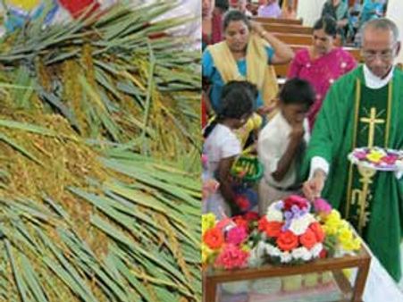 ಕರಾವಳಿಯಲ್ಲಿ ಕ್ರೈಸ್ತರ ಸಂಭ್ರಮದ ಮೋಂತಿಹಬ್ಬ