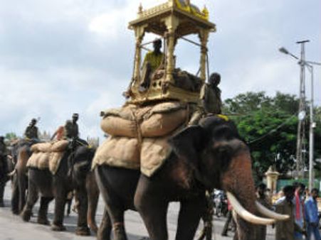 ಈ ಗಜಪಡೆ... ಮೈಸೂರು ದಸರಾ ಸೂತ್ರಧಾರಿಗಳು