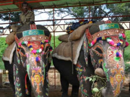 ಸರಳ ಗಂಗೆ ವಿಕ್ರಮ ಇವರ ಹಿರಿಯಜ್ಜಿ ಕಾಂತಿ