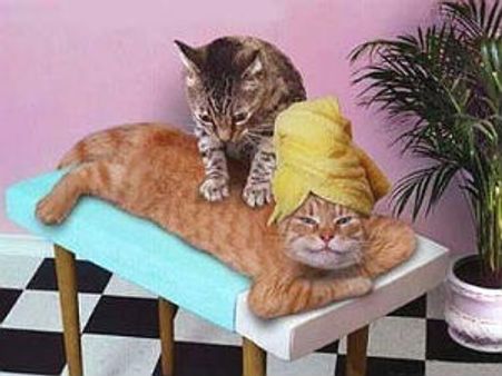 ದಲಿತ ಬಾಲಕಿಯರನ್ನು ಅಂಗಮರ್ಧನ ಕೇಂದ್ರಕ್ಕೆ ಅಟ್ಟಿದ ಶಿಕ್ಷಕಿಯರು