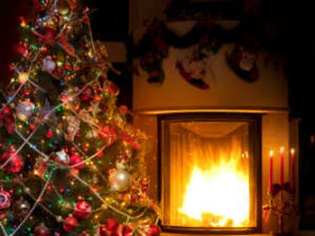 ತೋಟದಲ್ಲಿ ಉದುರಿವೆ ಆಗಸದ ನಕ್ಷತ್ರಗಳು