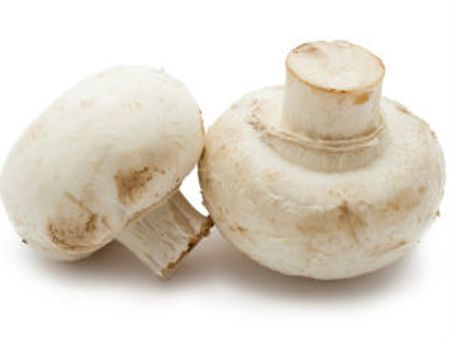 ವಿಷಕಾರಿ ಮಶ್ರೂಮ್ ಸೇವಿಸಿದ ಅಡುಗೆಭಟ್ಟರ ಸಾವು