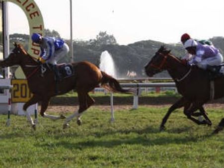 ಬೆಂಗಳೂರು ಕುದುರೆ ರೇಸಿಂಗ್ ಬುಕ್ಕಿಗಳ ಮೇಲೆ ಐಟಿ ದಾಳಿ