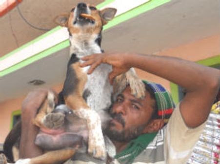 ಇದು ವಿಚಿತ್ರವೋ ಮಾನವೀಯತೆಯೋ ನೀವೇ ಹೇಳಿ