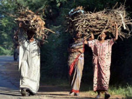 ಇವರು ನಮ್ಮ ಸಾವಿತ್ರಿ, ದಾಕ್ಷಾಯಿಣಿ, ರಮಣಿ!