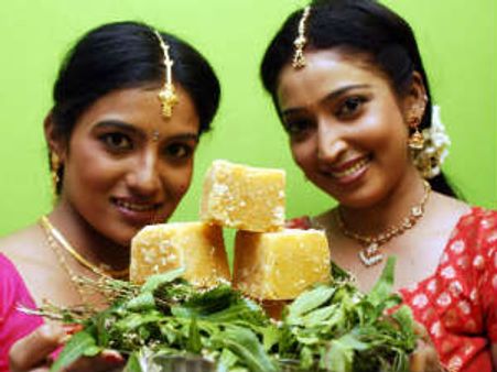 ಸಂಪಿಗೆ ಮರದ ಹಸಿರೆಲೆ ನಡುವೆ ಕೋಗಿಲೆ ಹಾಡುತಿದೆ