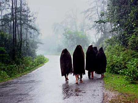 ಪಶ್ಚಿಮಘಟ್ಟ ಕಾರ್ಯಪಡೆಗೆ ಅರಣ್ಯ ಸಿಬ್ಬಂದಿ ನೇಮಕ