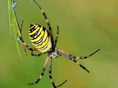 ಶುಭಸಂಕಲ್ಪ : ಸತತ ಪ್ರಯತ್ನವೇ ಗೆಲುವಿಗೆ ಸೋಪಾನ