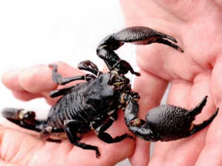 ಶುಭಸಂಕಲ್ಪ : ನಿಮ್ಮ ಧರ್ಮ ನೀವು ಪಾಲಿಸಿ