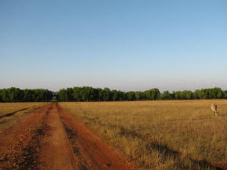 ಹೆಸರಘಟ್ಟ ಹುಲ್ಲುಗಾವಲನ್ನು ಉಳಿಸಲು ಸಹಿಹಾಕಿರಿ