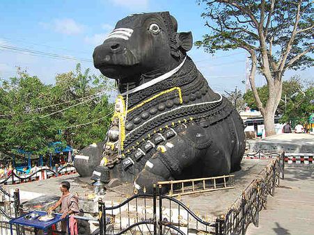 ನಂದಿ ಆವರಣದಲ್ಲಿ ದಾಂಧಲೆ: ಮಾನಸಿಕ ಅಸ್ವಸ್ಥ ಬಂಧನ