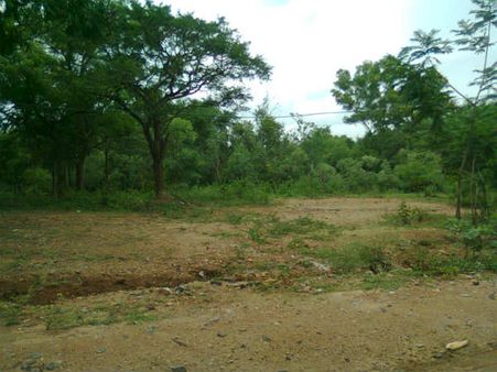 ನಾಯಿ ಬಾಯಲ್ಲಿ ರುಂಡ ಕಂಡು ಬೆಚ್ಚಿದ ಜ್ಞಾನಭಾರತಿ