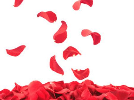 ಹೆಸರೇ ಇಲ್ಲದವರು ನಾವು! ಹೆಸರೇ ಇಲ್ಲದವರು!