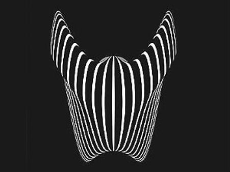 ವಶೀಕರಣ: ಅತ್ಯಾಚಾರಕ್ಕೆ ಯತ್ನಿಸಿದ ಮಾಂತ್ರಿಕನ ಸೆರೆ