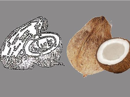 ಯಡಿಯೂರಪ್ಪ ಅವರ ಕರ್ನಾಟಕ ಜನತಾ ಪಕ್ಷ