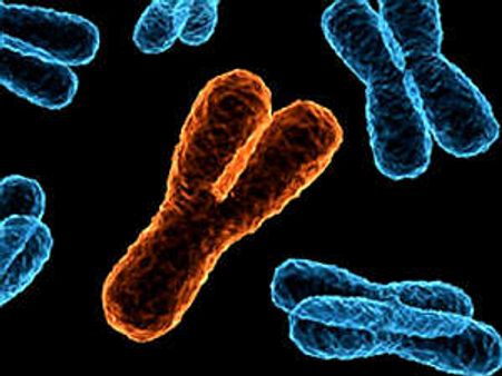 Manufacturing Defect: ಪುರುಷ ನಾಶ ಸನ್ನಿಹಿತ