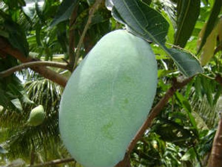 ಜನಸ್ತೋಮದ ಹಸಿರ ನಡುವೆ ಬಾಂಧವ್ಯದ ಹೂಗಳರಳಿ