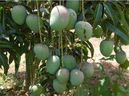 ಕೋಲಾರ ಜಿಲ್ಲೆ ಅಭ್ಯರ್ಥಿಗಳು; ಯಾರಿಗೆ ಹೂಮಾಲೆ