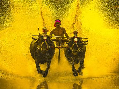 ಆಸ್ಟ್ರೋ ಮೋಹನ್ ಚಿತ್ರಗಳಿಗೆ ಅಂತಾರಾಷ್ಟ್ರೀಯ ಮನ್ನಣೆ