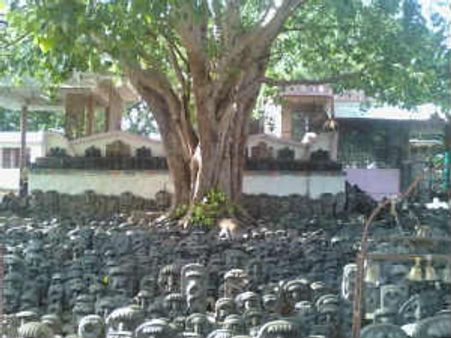 ನೆಲಕ್ಕುರುಳಿದ ಐತಿಹಾಸಿಕ ವಿದುರಾಶ್ವತ್ಥ ಮರ