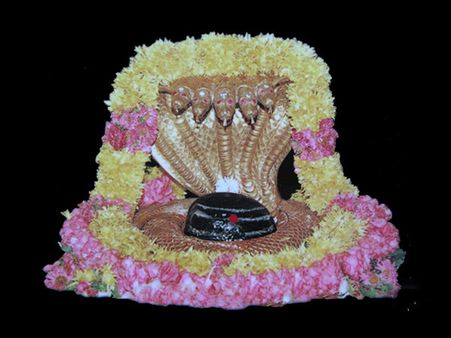 ಶ್ರೀಶೈಲಂ ಶಿವಲಿಂಗ ಭಿನ್ನ, ಭಕ್ತರಲ್ಲಿ ಆತಂಕ