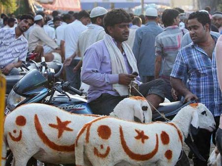 ಬಕ್ರೀದ್ 'ಕುರ್ಬಾನಿ' ಬೆಲೆ ಕಾರಿಗಿಂತ ಜಾಸ್ತಿ