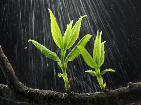 ನವೆಂಬರ್ 1ರ ತನಕ ಹಿಂಗಾರು ಮಳೆ ಅಬ್ಬರ