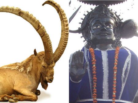 2015 ವರ್ಷ ಭವಿಷ್ಯ : ಮಕರ ರಾಶಿಗೆ ಲಕಲಕ ಲಕ್