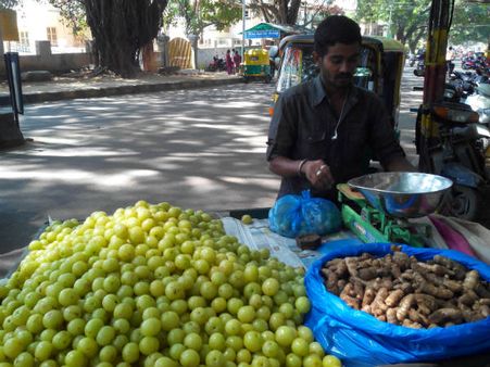 ಬೆಟ್ಟದ ನೆಲ್ಲಿಕಾಯಿಯ ಸ್ಪೆಷಾಲಿಟಿ ಒಂದೇ ಎರಡೇ