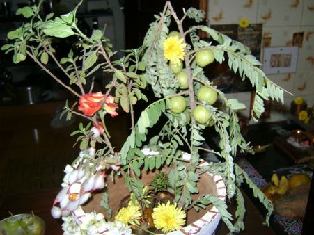 ತುಳಸಮ್ಮ ಯಾರು? ಅವಳಿಗಾದ ಅನ್ಯಾಯವೇನು?