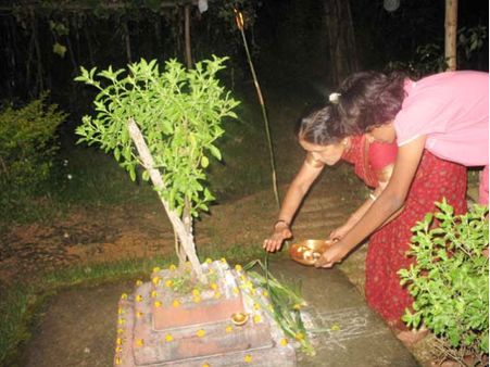 ತುಳಸಿ ಹಬ್ಬದಂದು ಸಂಭ್ರಮದಿ ದೀಪ ಬೆಳಗಿಸಿ