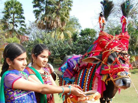 ವೃಷಭದಿಂದ ಕರ್ಕ ರಾಶಿಯವರಿಗೆ 2014ರ ಸಂಕ್ರಮಣ ಫಲ