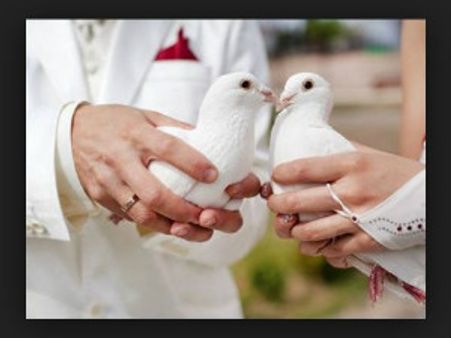 ಅಮೆರಿಕ ಪತ್ನಿಯ ಸಾಯಿಸಿ ಆಟೋ ಚಾಲಕ ತಾನೂ ಸತ್ತ