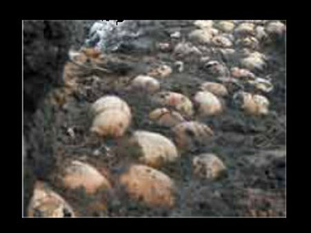 ಹಳೆಯ ಬಾವಿಯಲ್ಲಿ 282 ಸೈನಿಕರ ತಲೆಬುರುಡೆ ಪತ್ತೆ