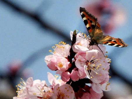 ಸರಿದು ಹೋಗುವ ಮುನ್ನ ಬೆನ್ನಲ್ಲಿ ವಿಳಾಸ ಬರೆದಿಟ್ಟುಬಿಡು!